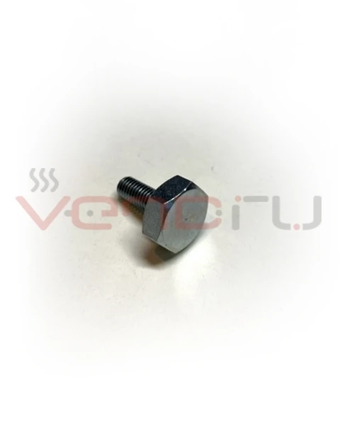 Винт-держатель планки ригельного замка двери